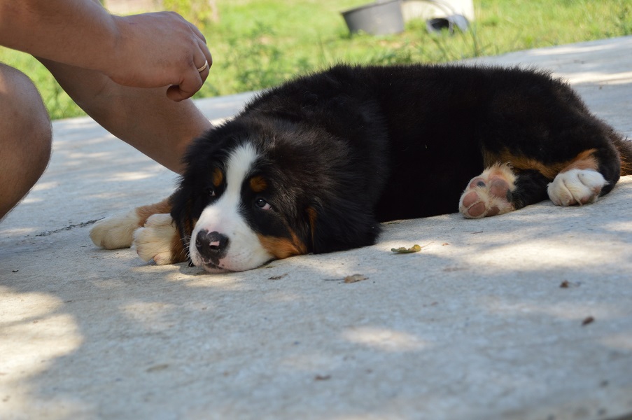 DSC_0417.JPG