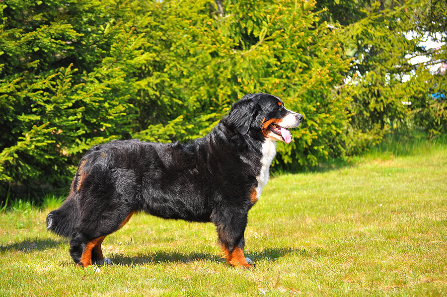 DSC_0661.jpg