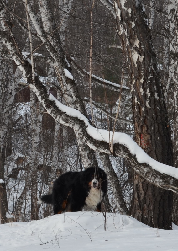 DSC_0802тро.jpg