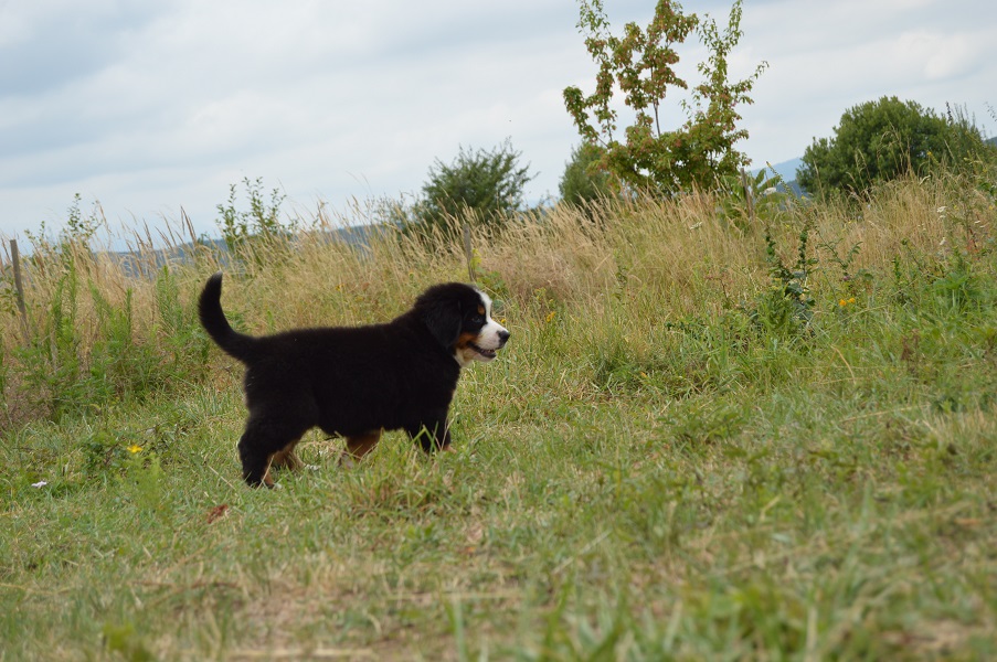 DSC_0805.JPG