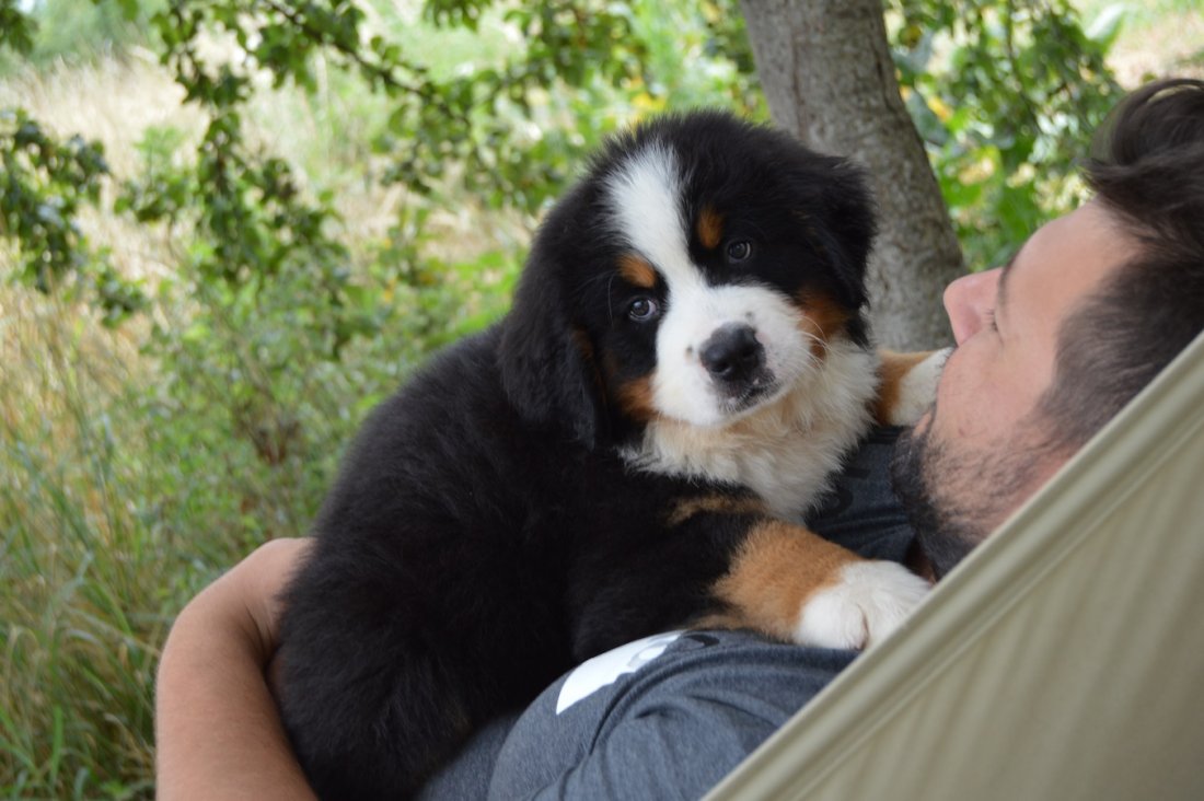 DSC_0874.JPG