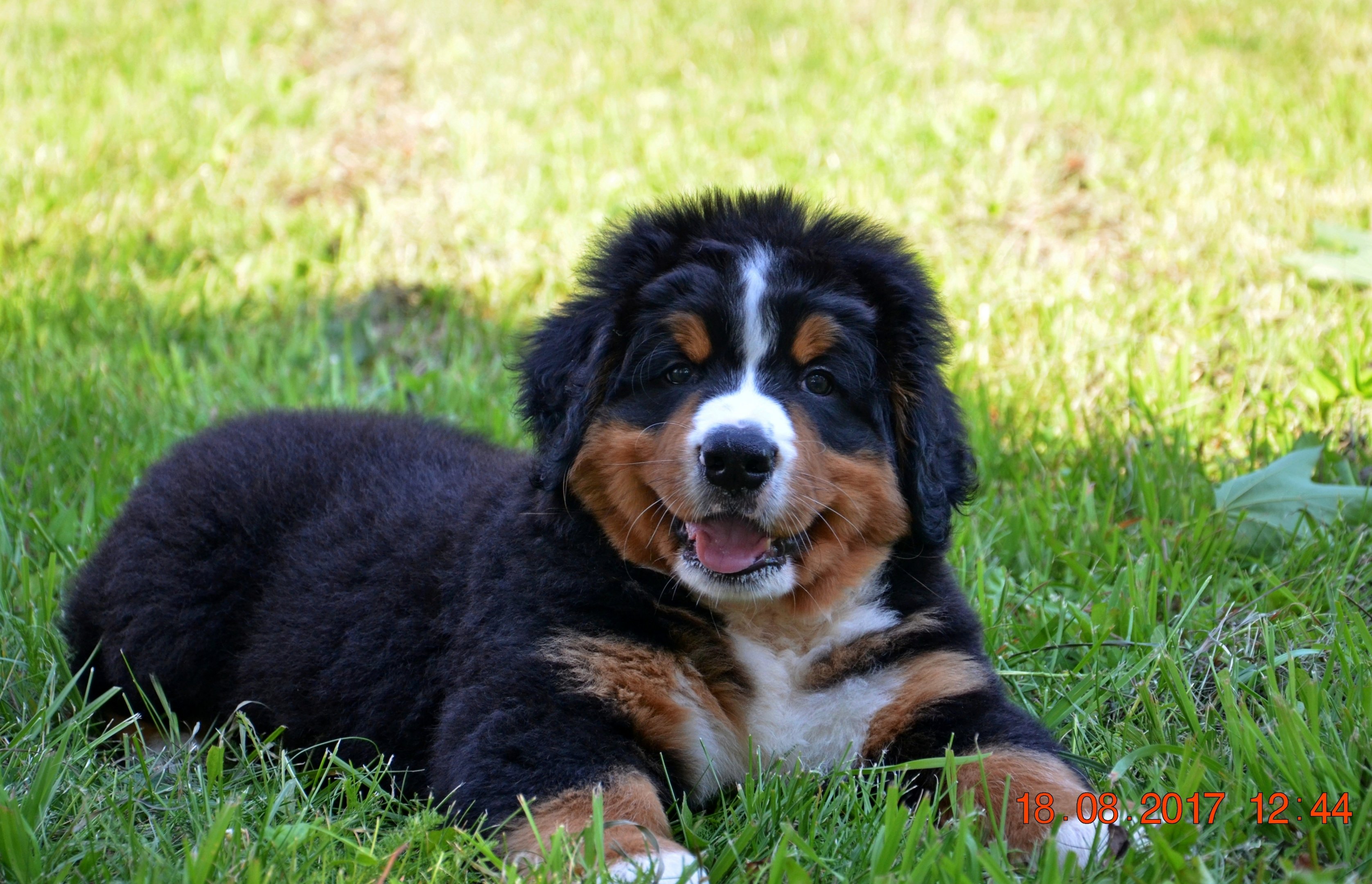 DSC_2752.JPG