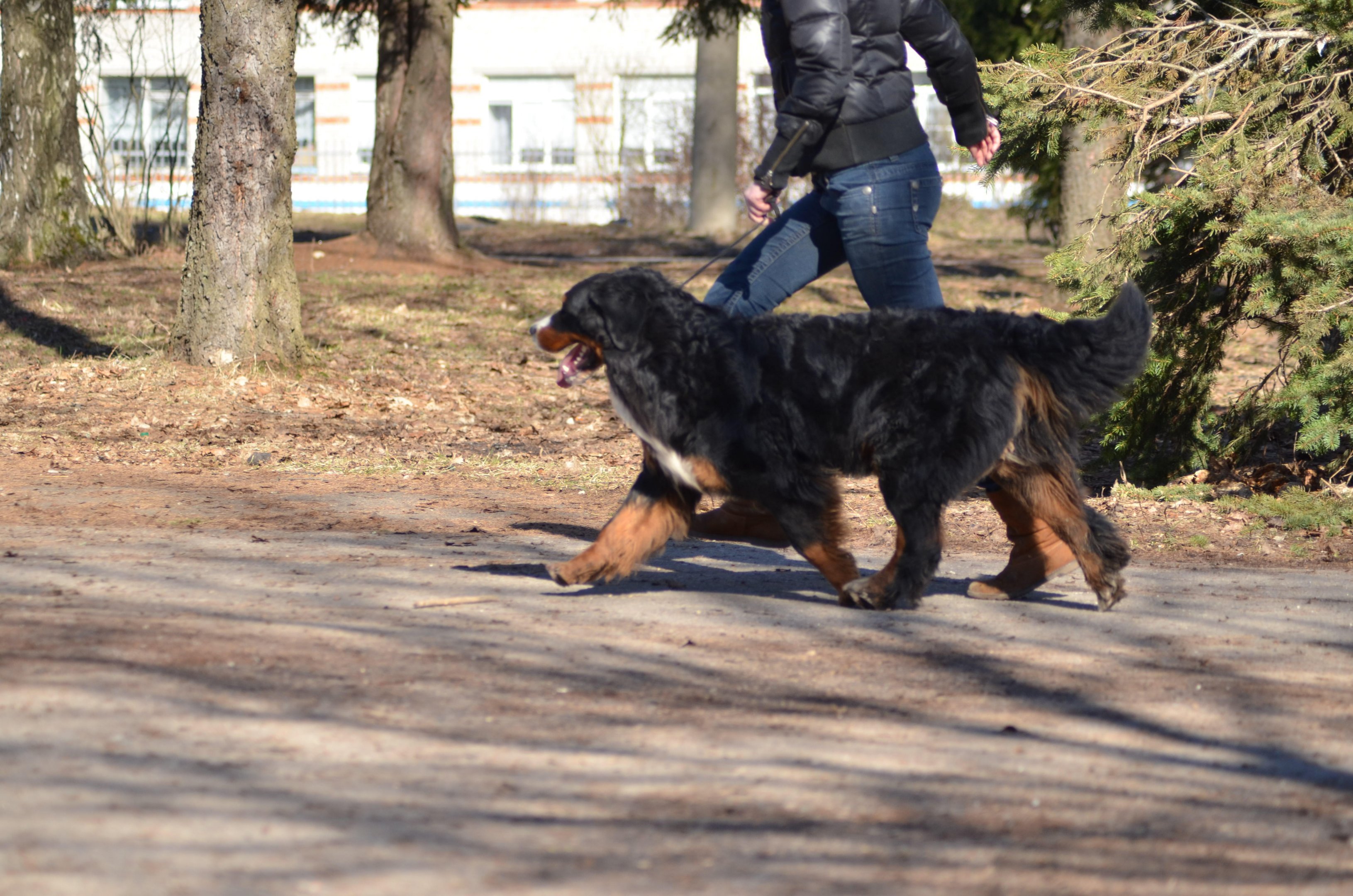 DSC_6366.JPG