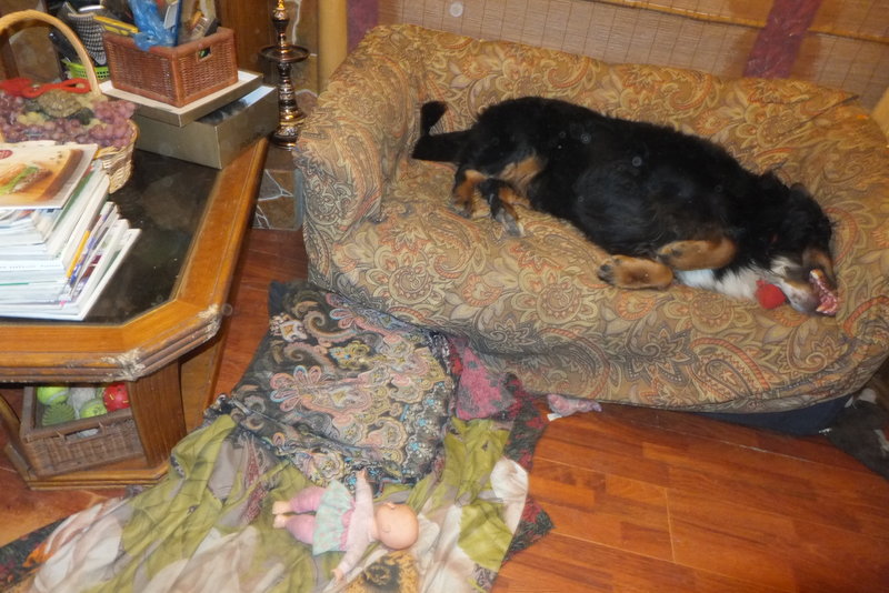 DSCF3855.JPG