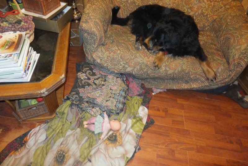 DSCF3857.JPG