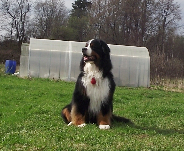 DSCF4052.JPG