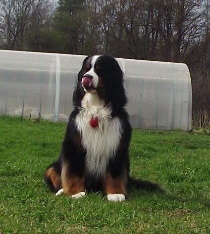 DSCF4055.JPG