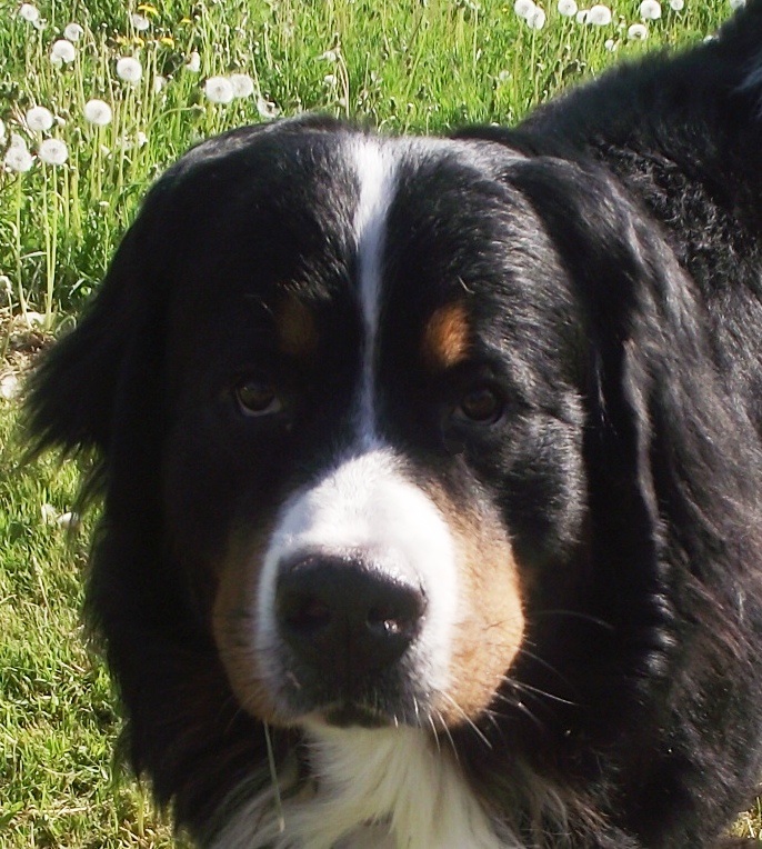 DSCF42191.JPG