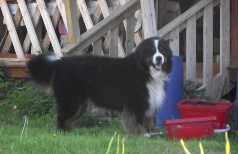 DSCF4277.JPG