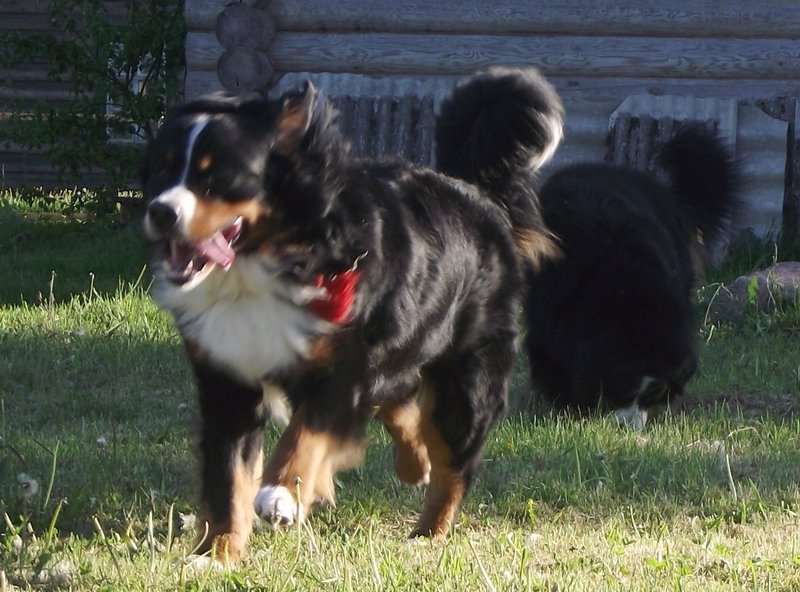 DSCF4285.JPG