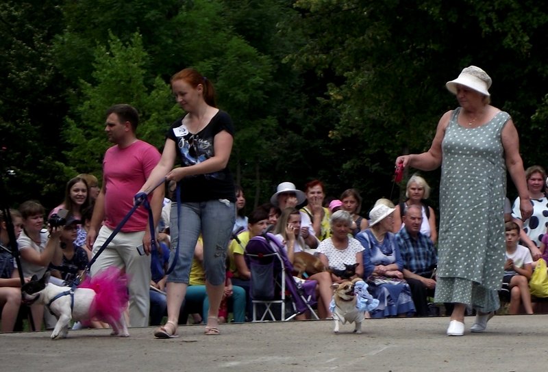 DSCF4742.JPG