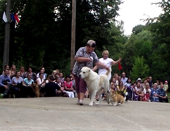 DSCF4748.JPG