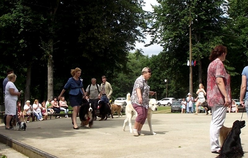 DSCF4756.JPG