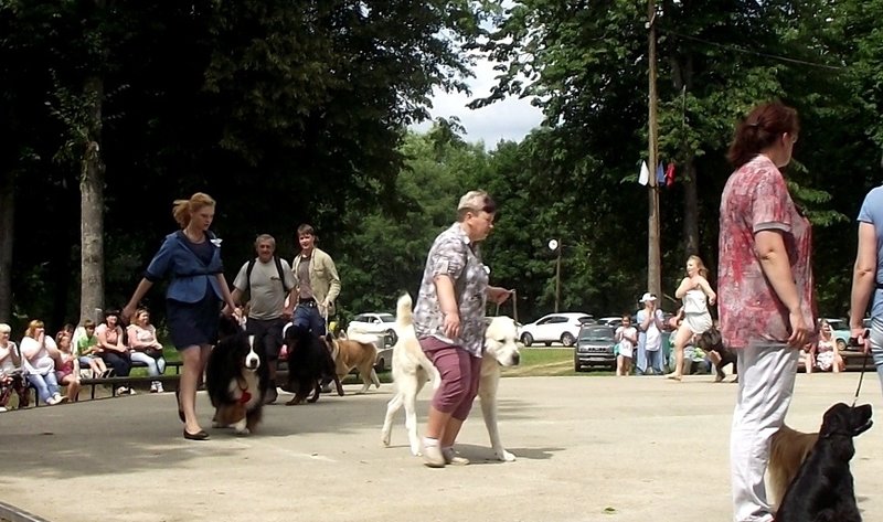DSCF4756.JPG