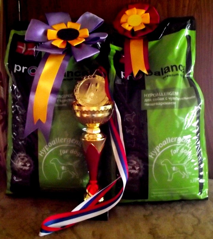 DSCF4762.JPG
