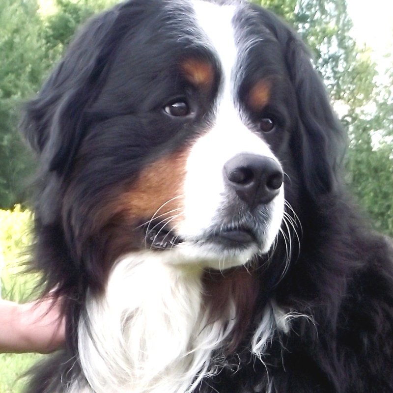 DSCF51261.JPG