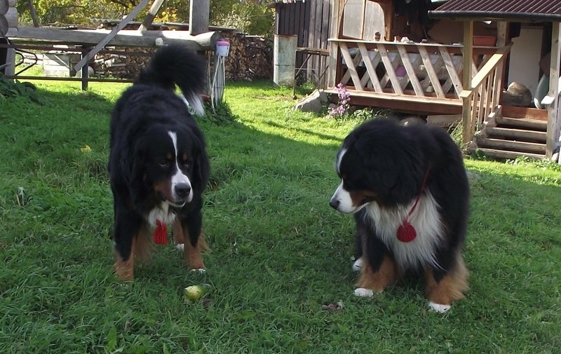 DSCF5425.JPG