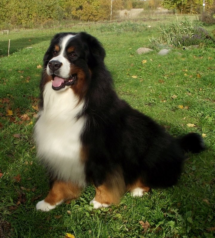 DSCF5448.JPG