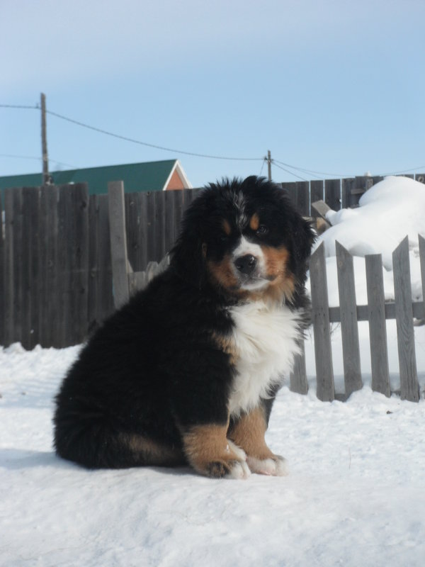 DSCF6640.JPG