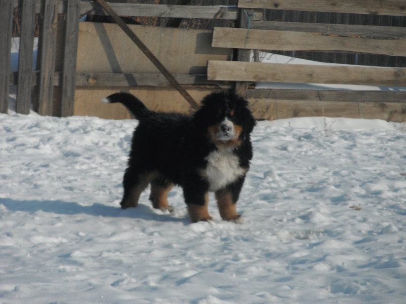 DSCF6715.JPG