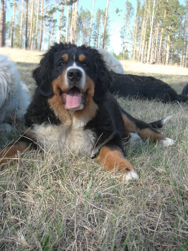 DSCF8244.JPG