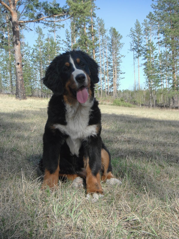 DSCF8256.JPG
