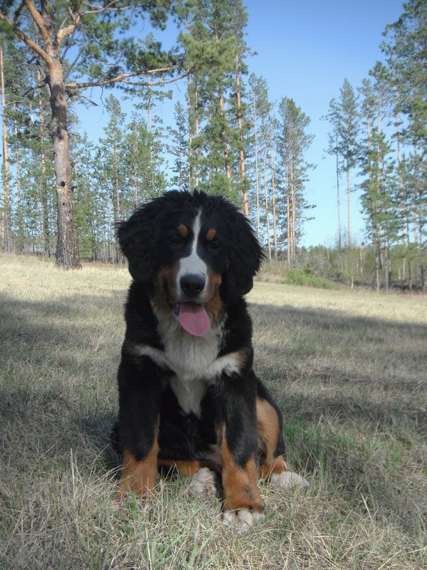 DSCF8257.JPG
