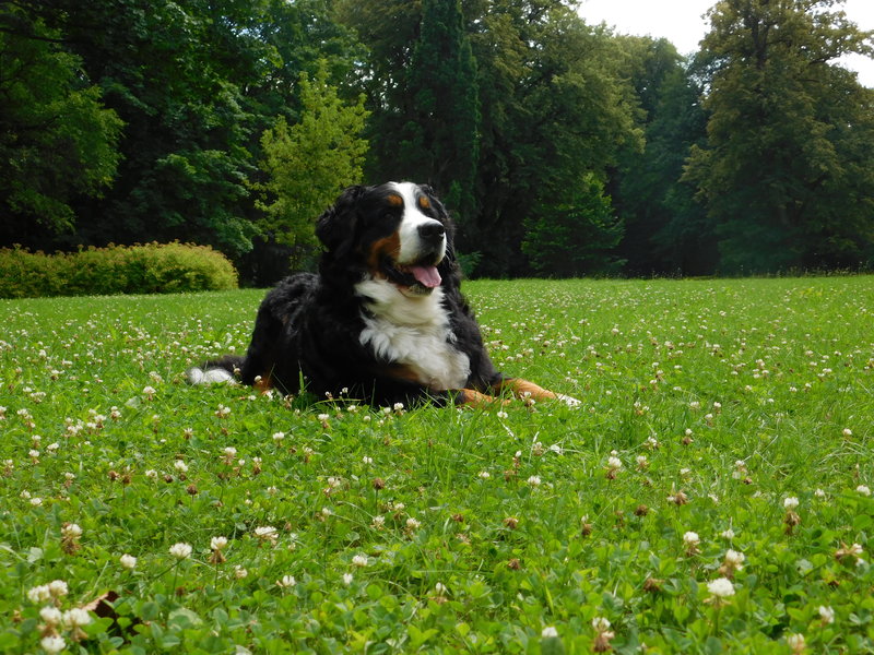 DSCN1070.JPG