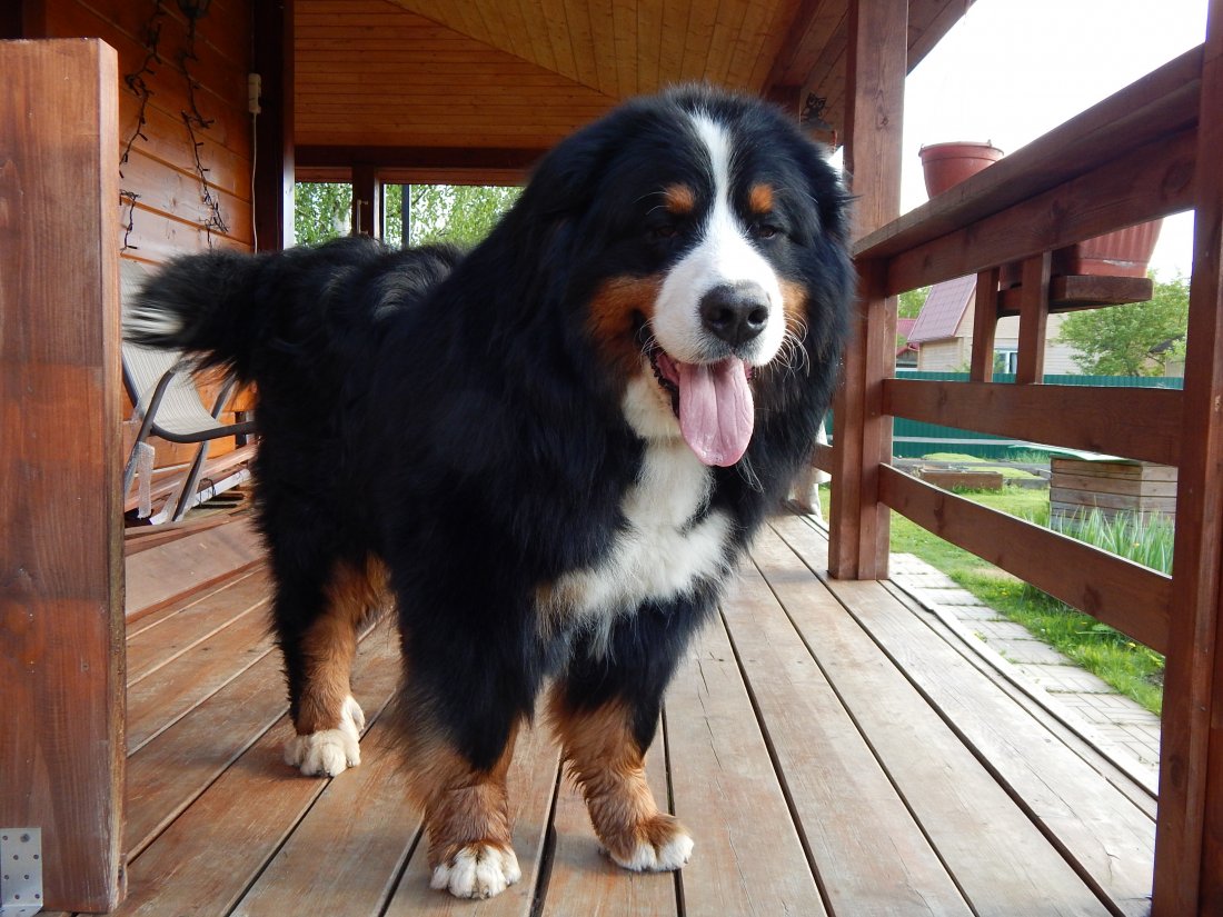 DSCN4588.JPG