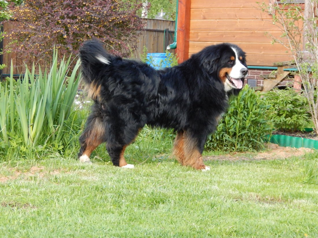 DSCN4591.JPG