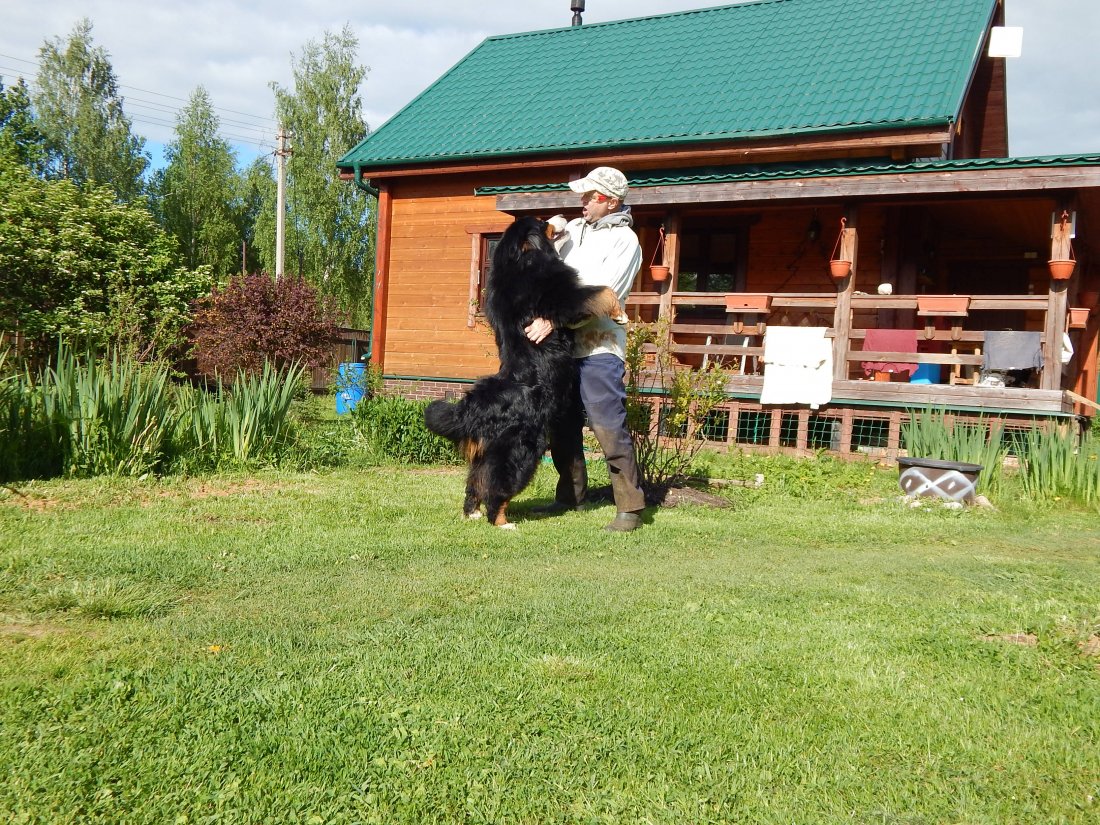 DSCN4605.JPG