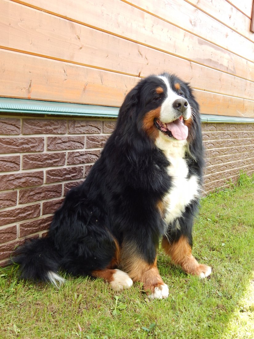 DSCN4616.JPG