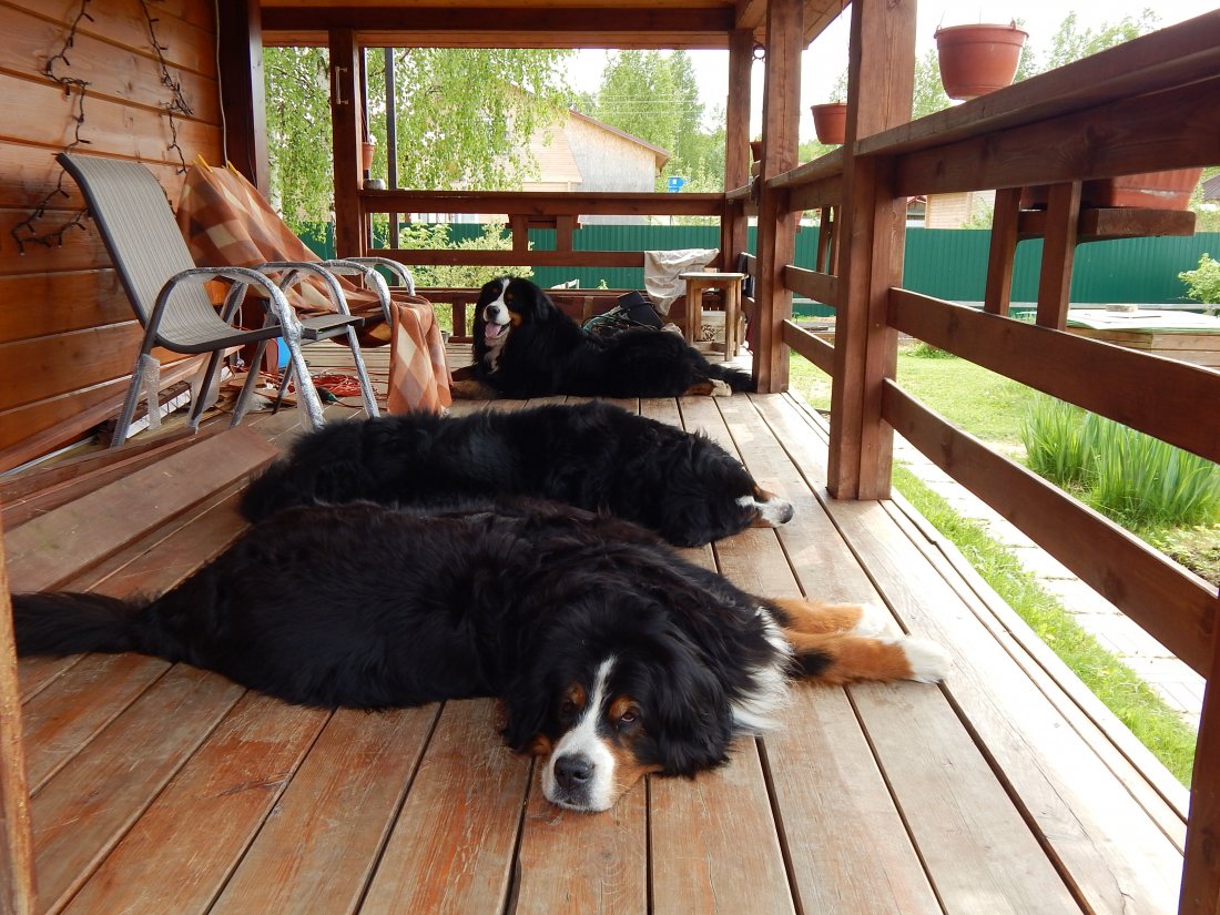 DSCN4709.JPG