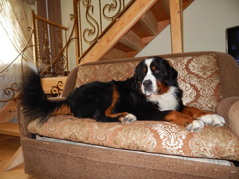 DSCN5444.JPG