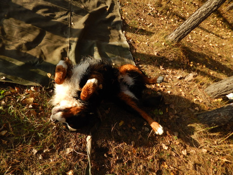 DSCN5483.JPG