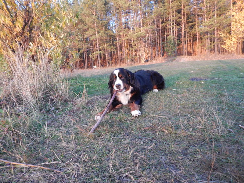 DSCN5500.JPG