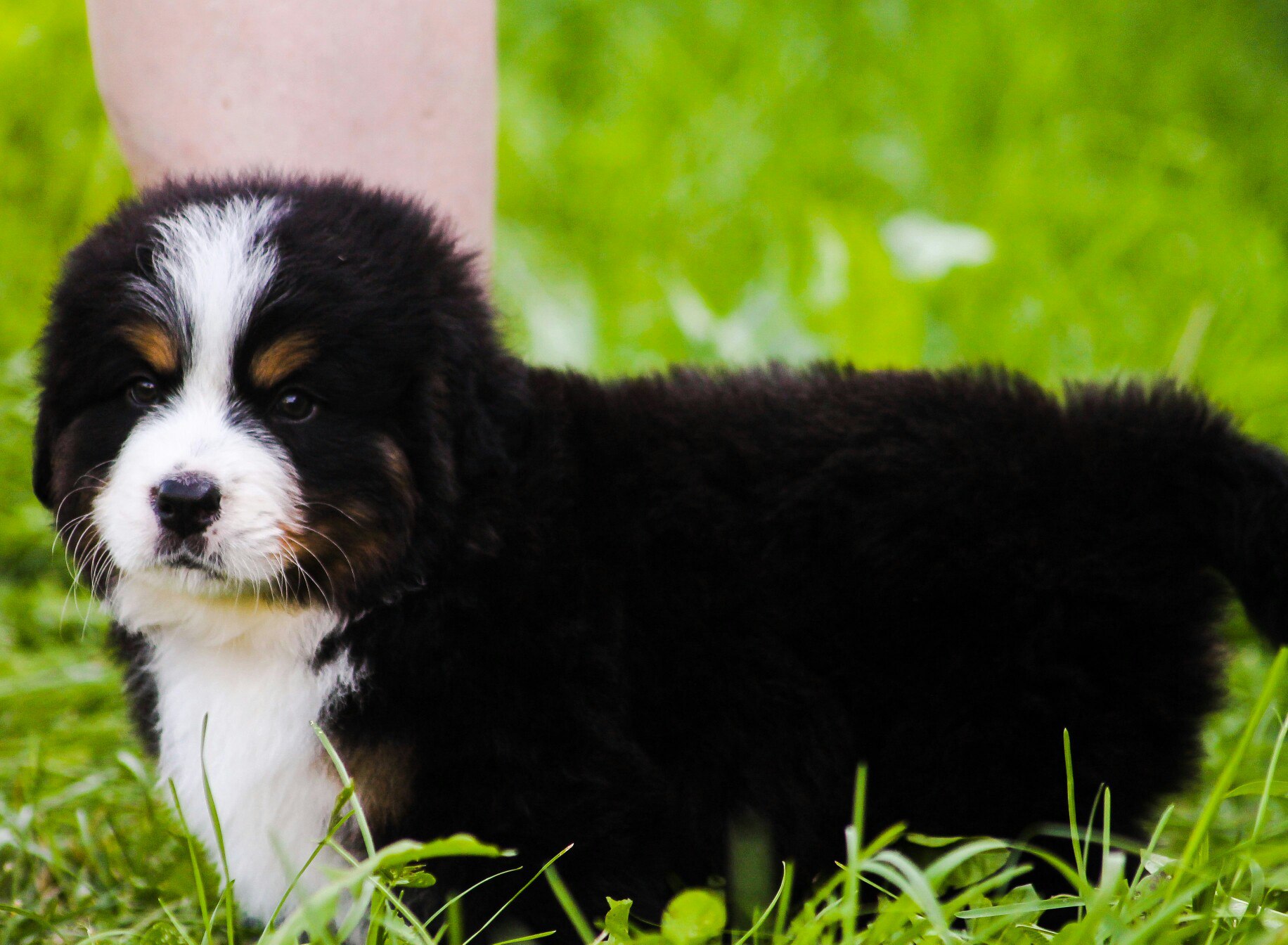 dub73fboXbk.jpg