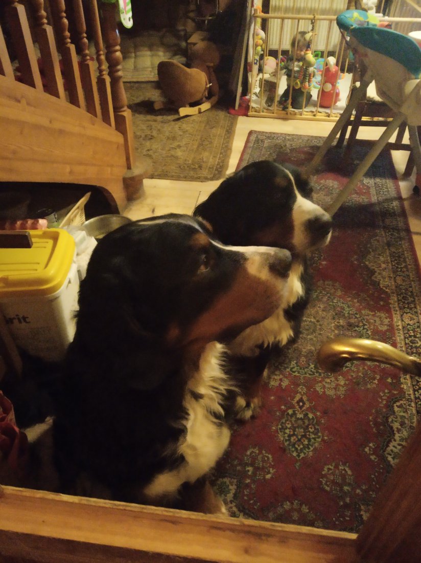 EA348262-3827-480B-AF0D-084C83A0D237.jpeg