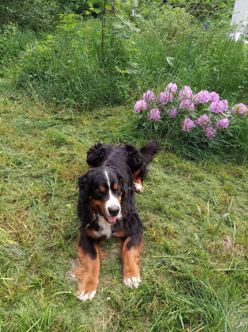 FD0E6C41-923B-436D-8516-7183D08063F0.jpeg