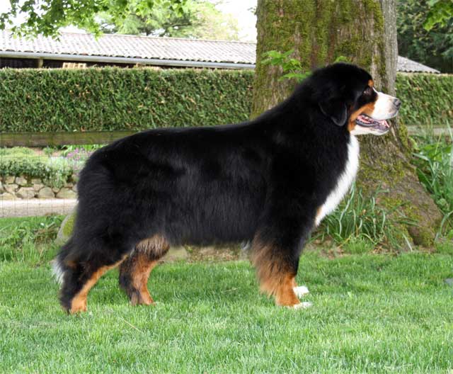 FLORIAN 2,9.jpg