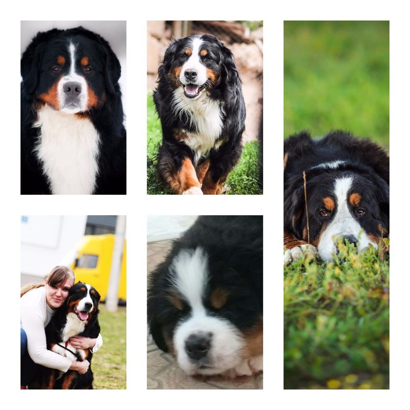 Fotoram.io.jpg