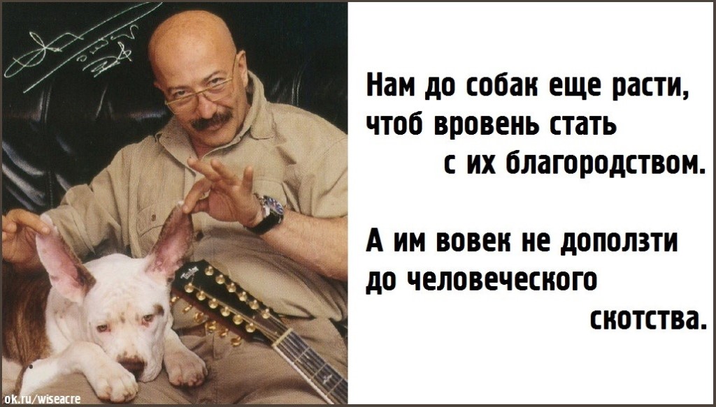 image (1).jpg