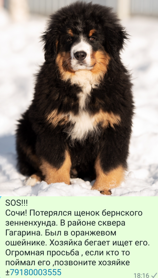 image-10.png