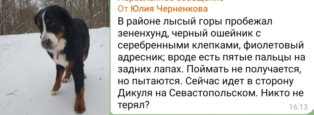 image-11.png
