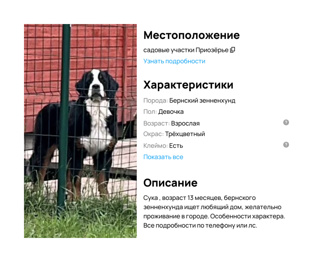 image-120.png