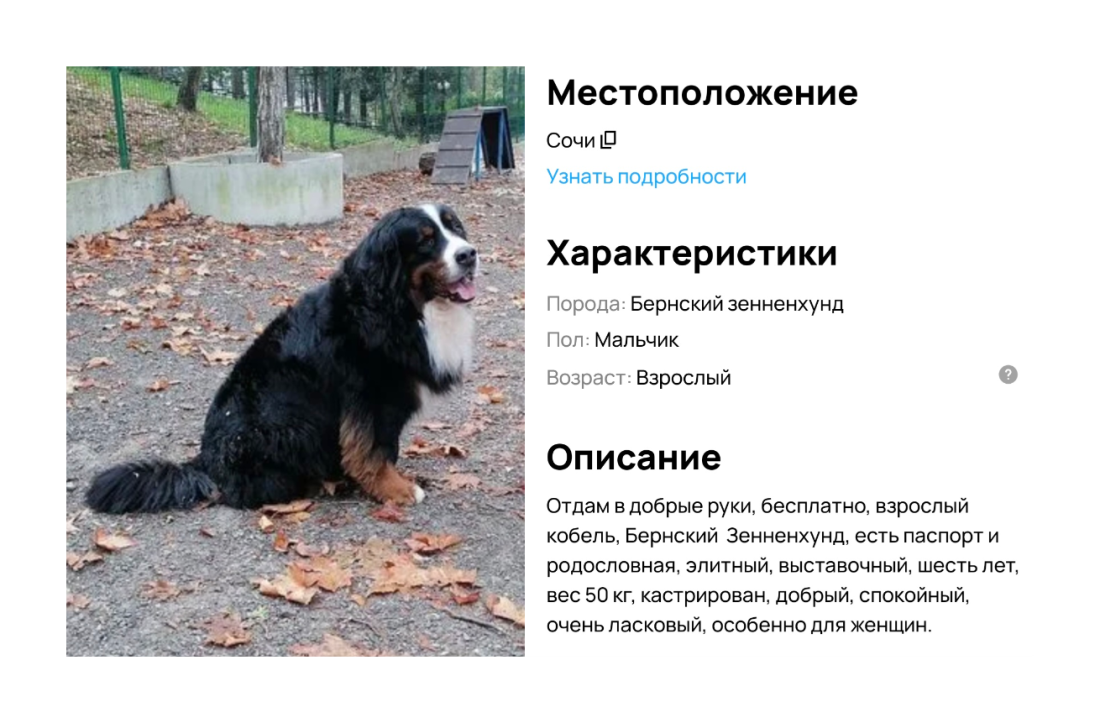 image-121.png