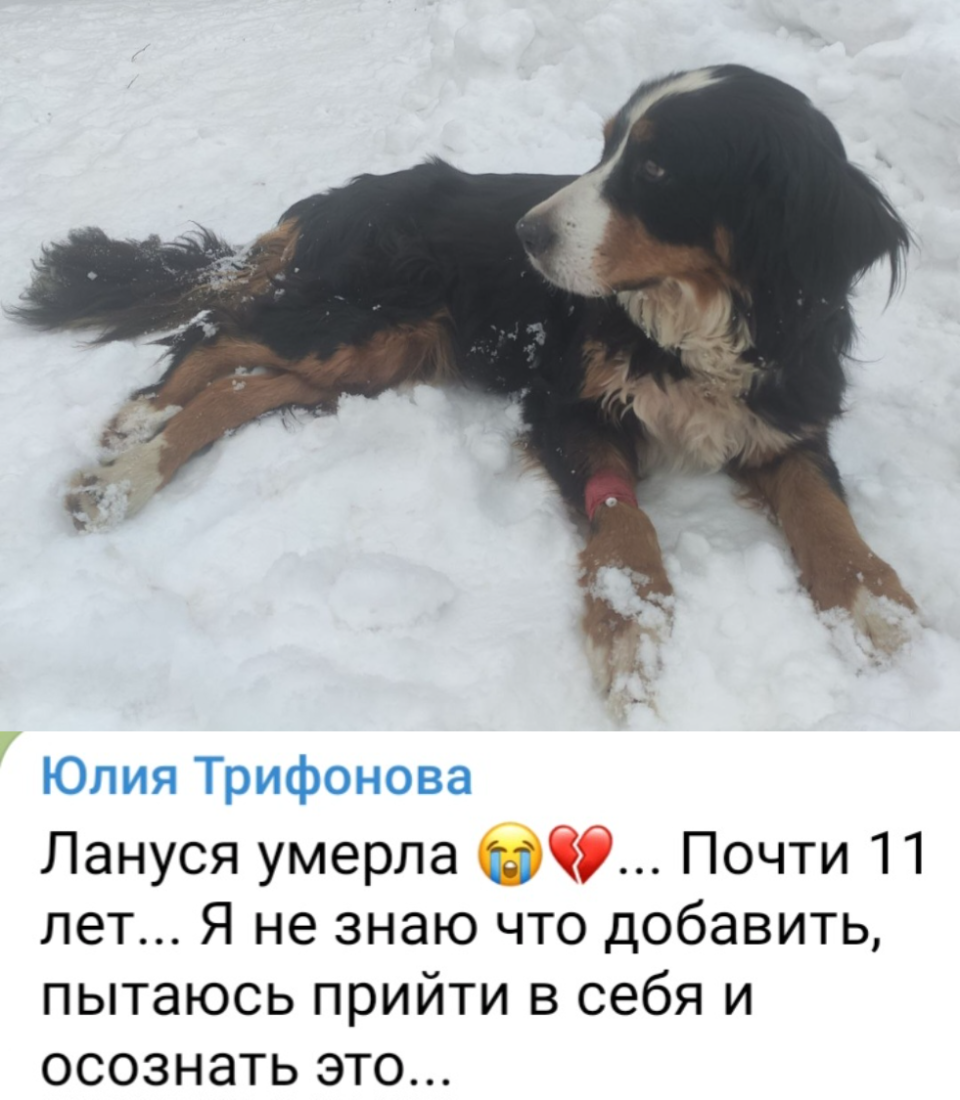 image-13.png