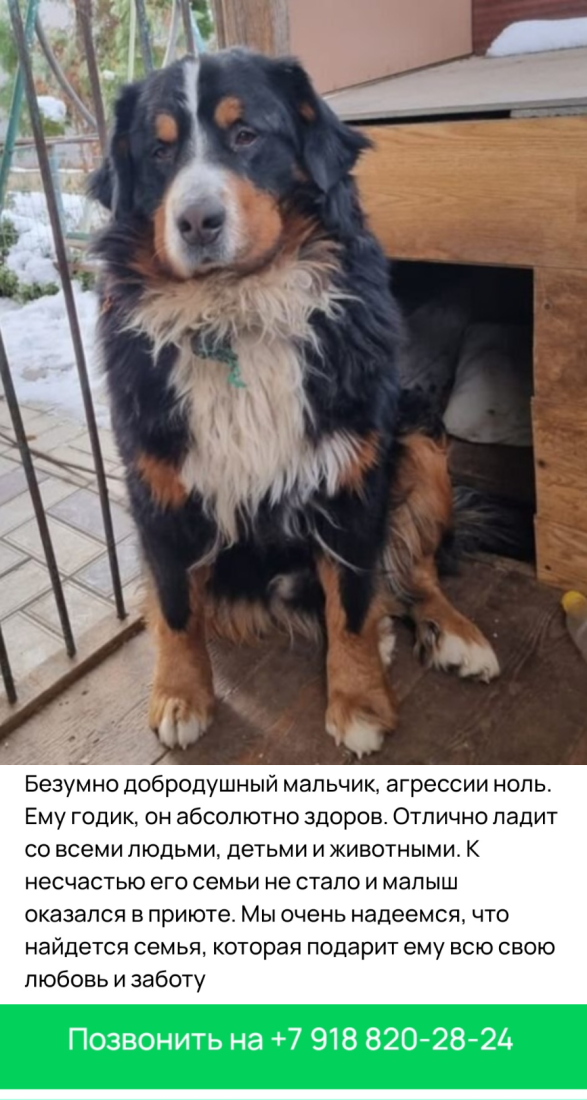 image-14.png