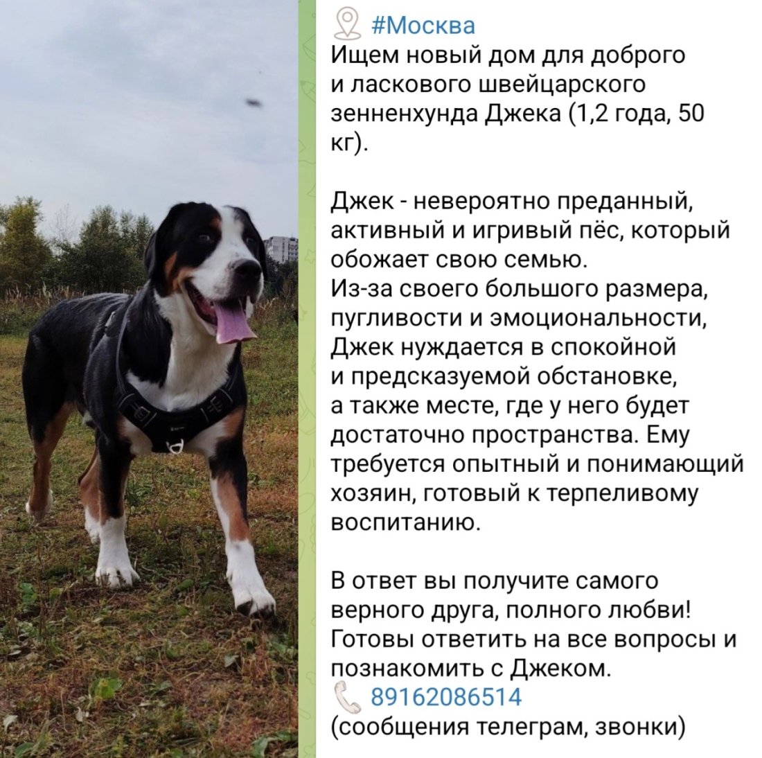 image-17.jpg