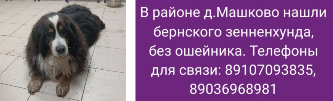 image-22.png